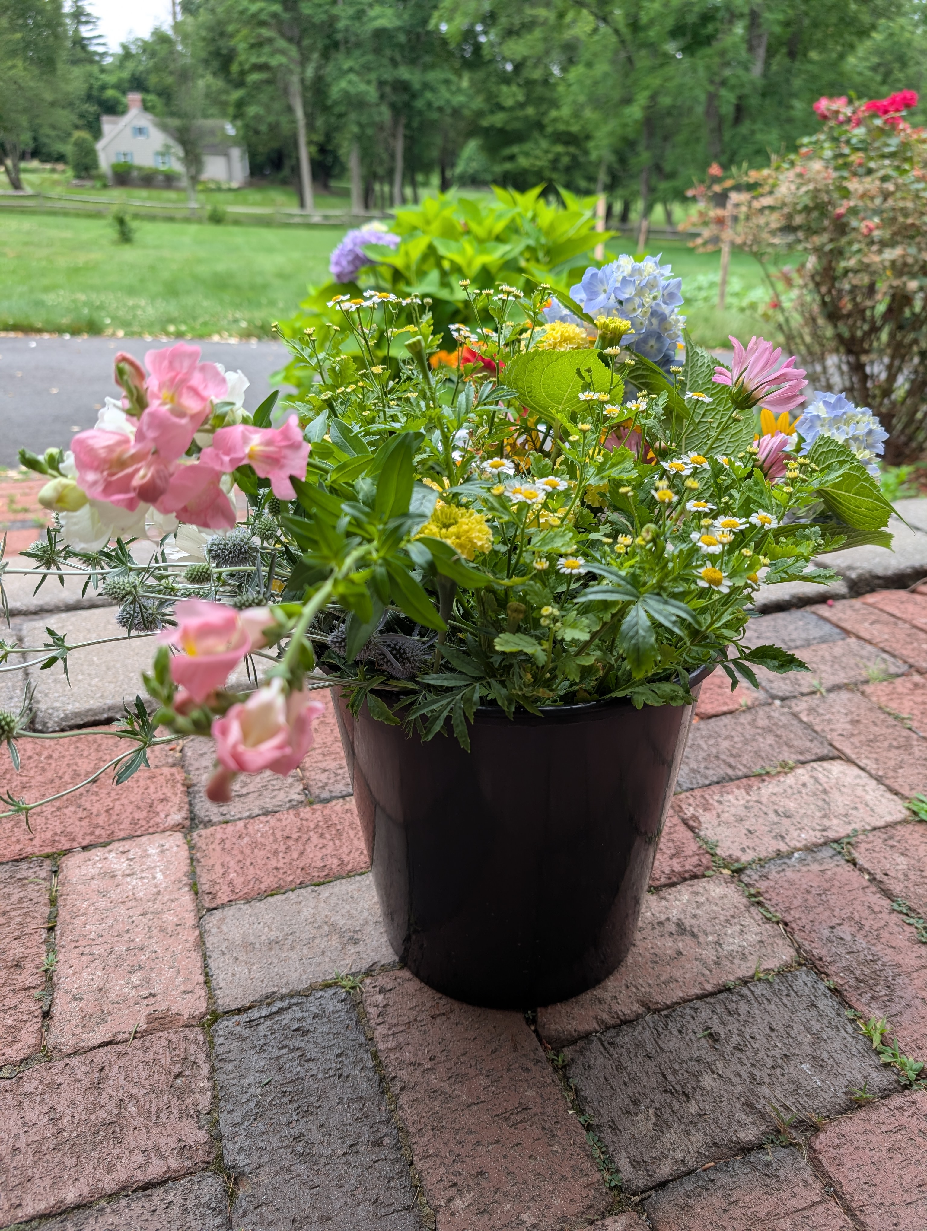 fresh cut flowers 1